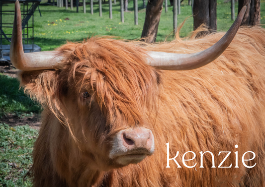 2026 Glenstrae Highlands Calendar