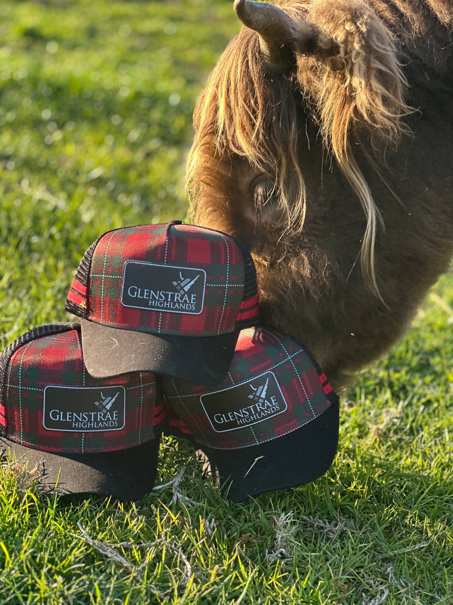 Glenstrae trucker cap