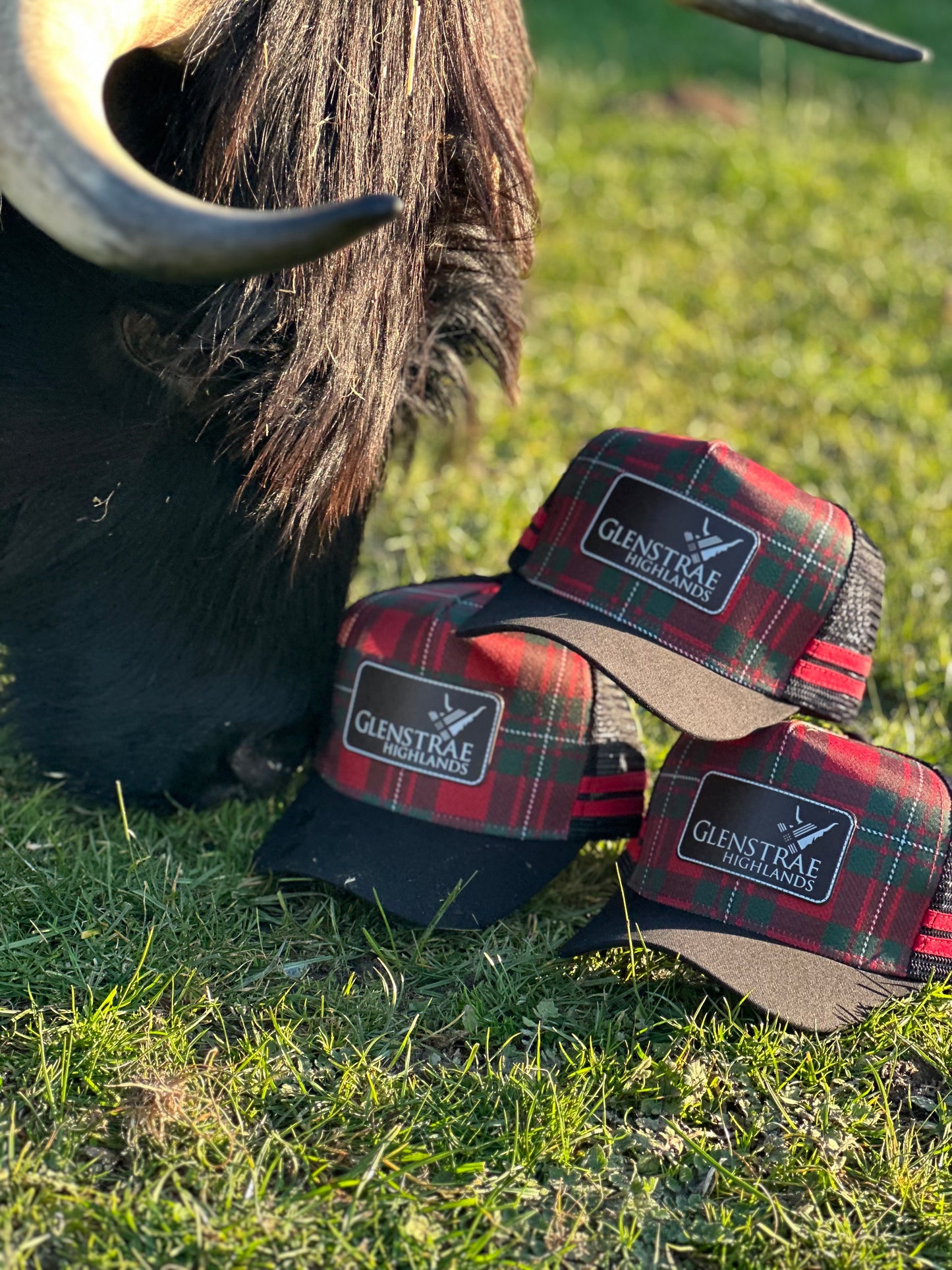 Glenstrae trucker cap