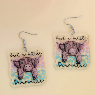 Acrylic earrings (hook)