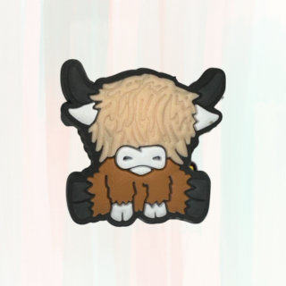 Coo Croc Charms / Jibbitz