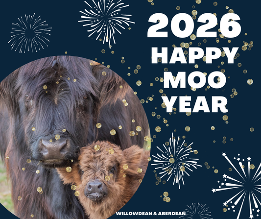 Happy Moo Year from Willa and the crew