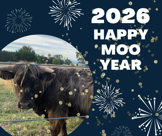 Happy Moo Year from Andie and the crew