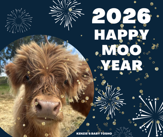 Happy Moo Year from Kenzie and the crew