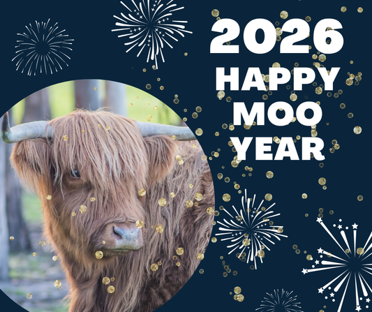 Happy Moo Year from Skarlotte and the crew