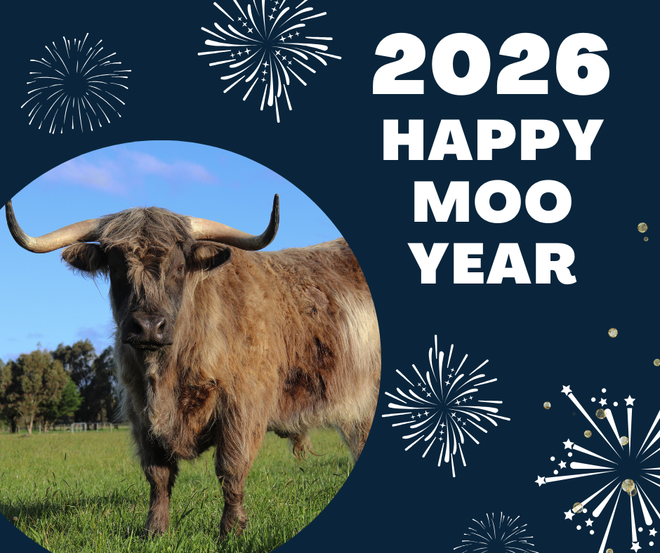 Happy Moo Year from Skunk and the crew