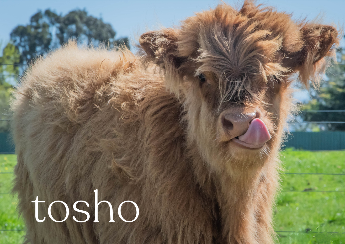 2026 Glenstrae Highlands Calendar