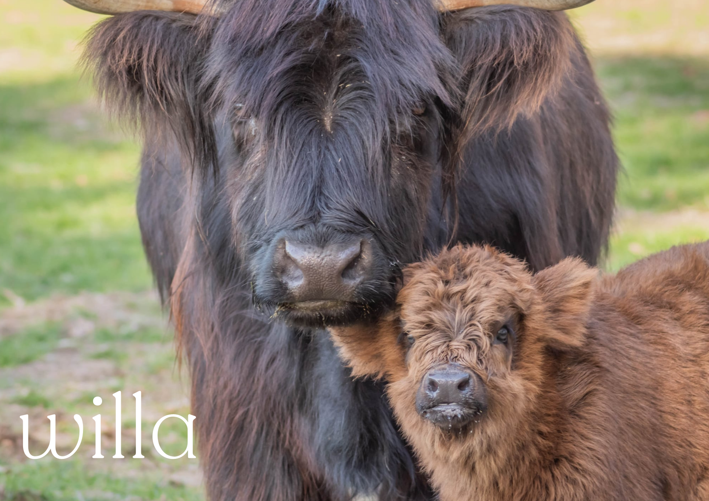 2026 Glenstrae Highlands Calendar