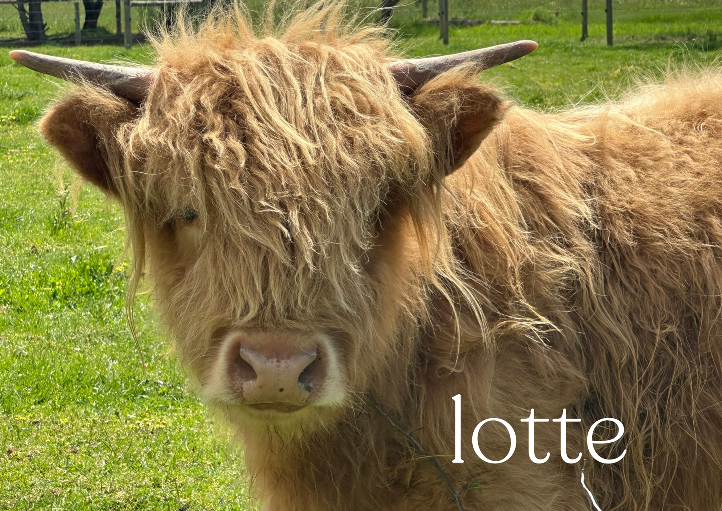 2026 Glenstrae Highlands Calendar