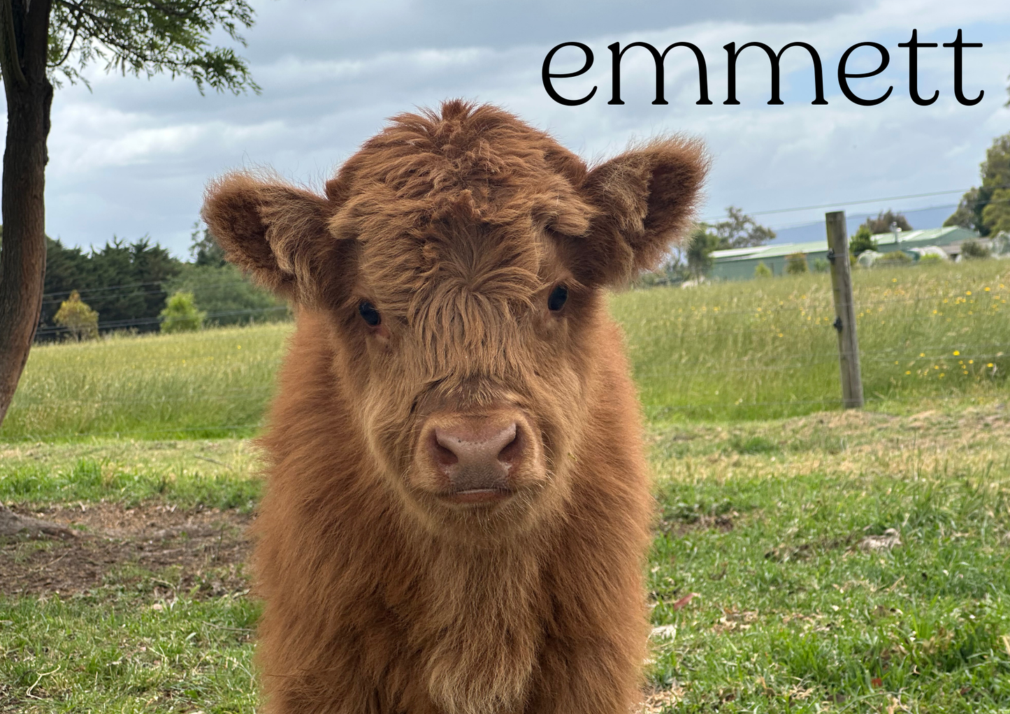 2026 Glenstrae Highlands Calendar