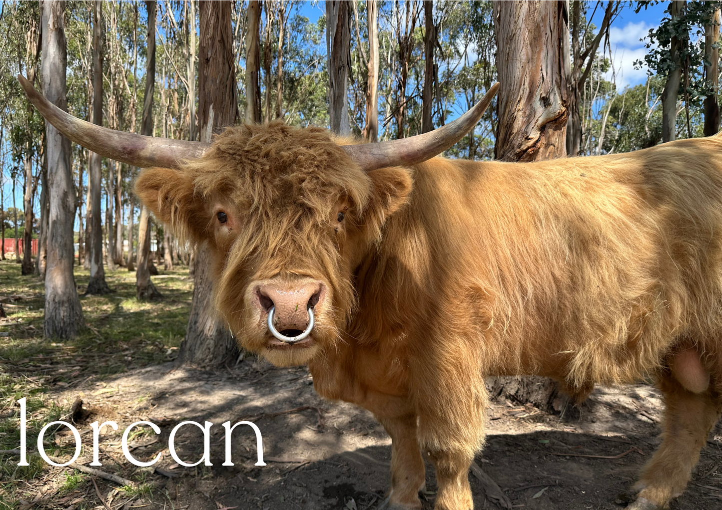 2026 Glenstrae Highlands Calendar