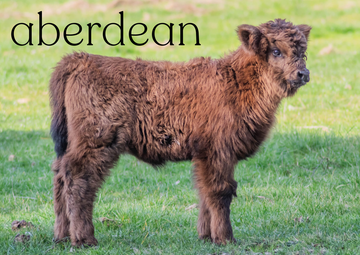 2026 Glenstrae Highlands Calendar