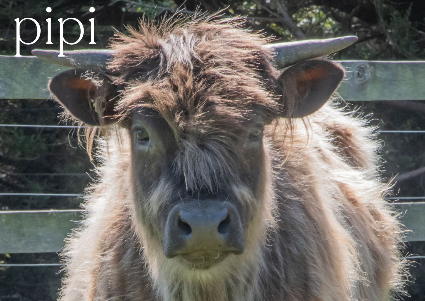 2026 Glenstrae Highlands Calendar