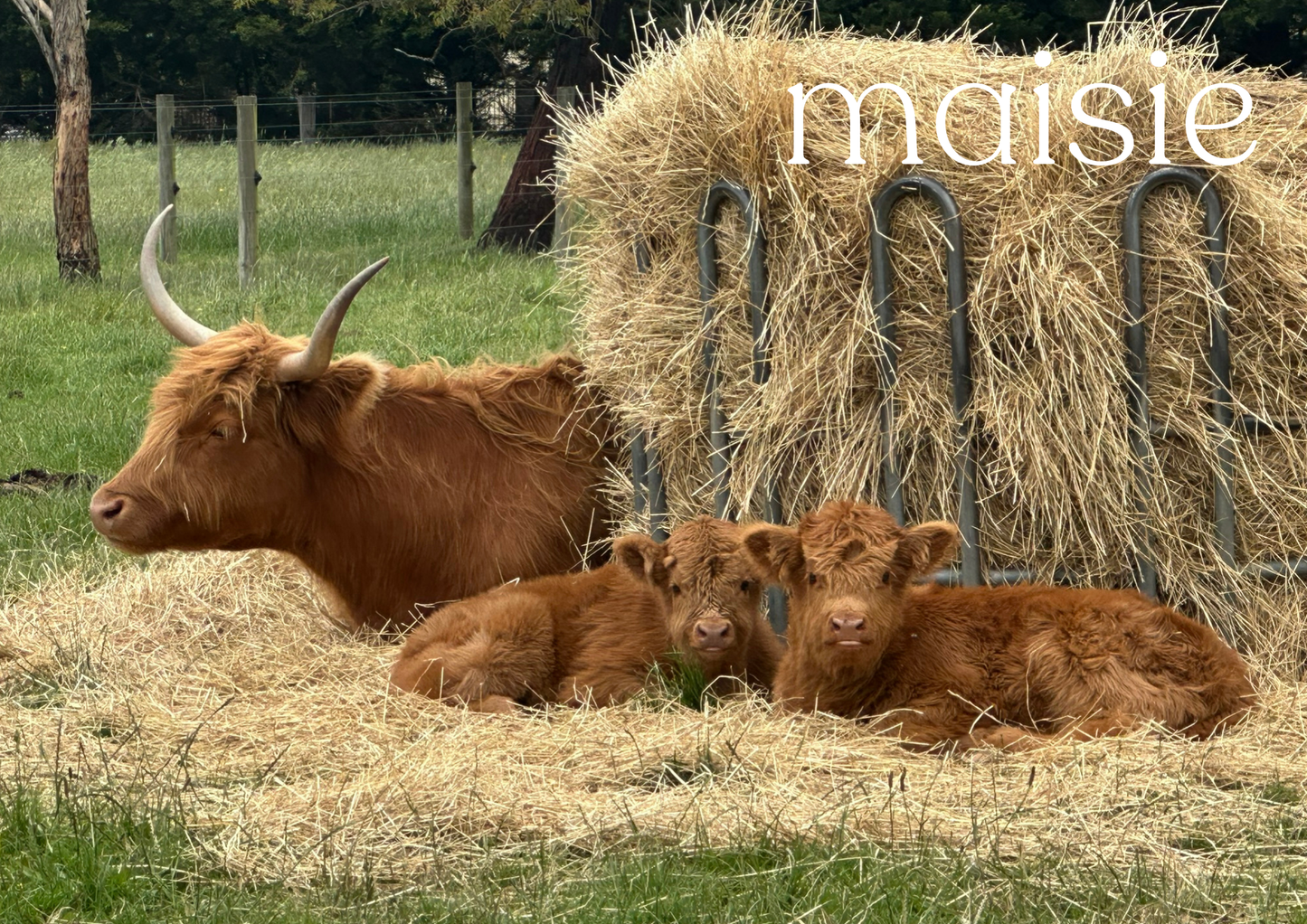 2026 Glenstrae Highlands Calendar