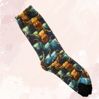 Echoes - Highland Socks