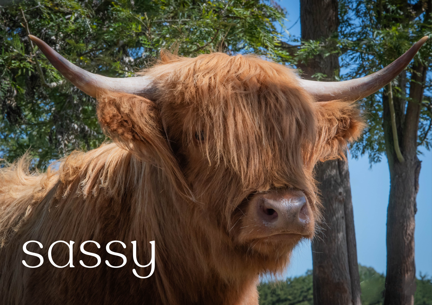 2026 Glenstrae Highlands Calendar