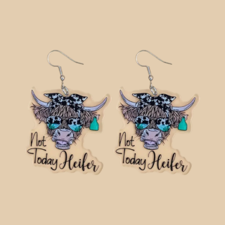 Acrylic earrings (hook)