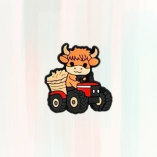 Coo Croc Charms / Jibbitz