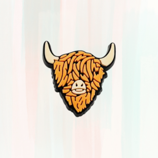 Coo Croc Charms / Jibbitz