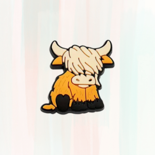 Coo Croc Charms / Jibbitz