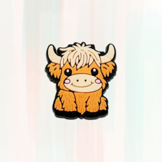 Coo Croc Charms / Jibbitz