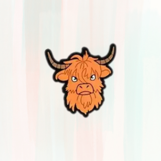 Coo Croc Charms / Jibbitz