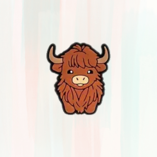 Coo Croc Charms / Jibbitz