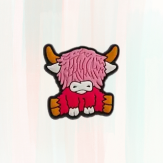 Coo Croc Charms / Jibbitz