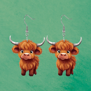 Acrylic earrings (hook)